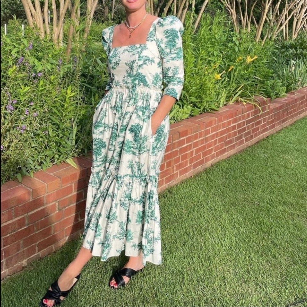 Cara Cara Blue Hill Dress forest toile NWOT - Picture 3 of 5